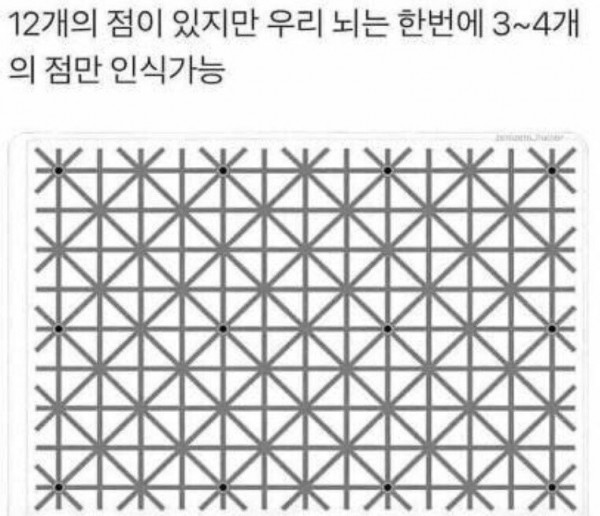 3d8bdc288d1e34576e15071830384211_1638373773_3497.jpg